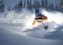 米兰体育中国-奥地利战胜北马其顿，欧锦赛小组赛实现两连胜，欧州杯奥地利对北马其顿