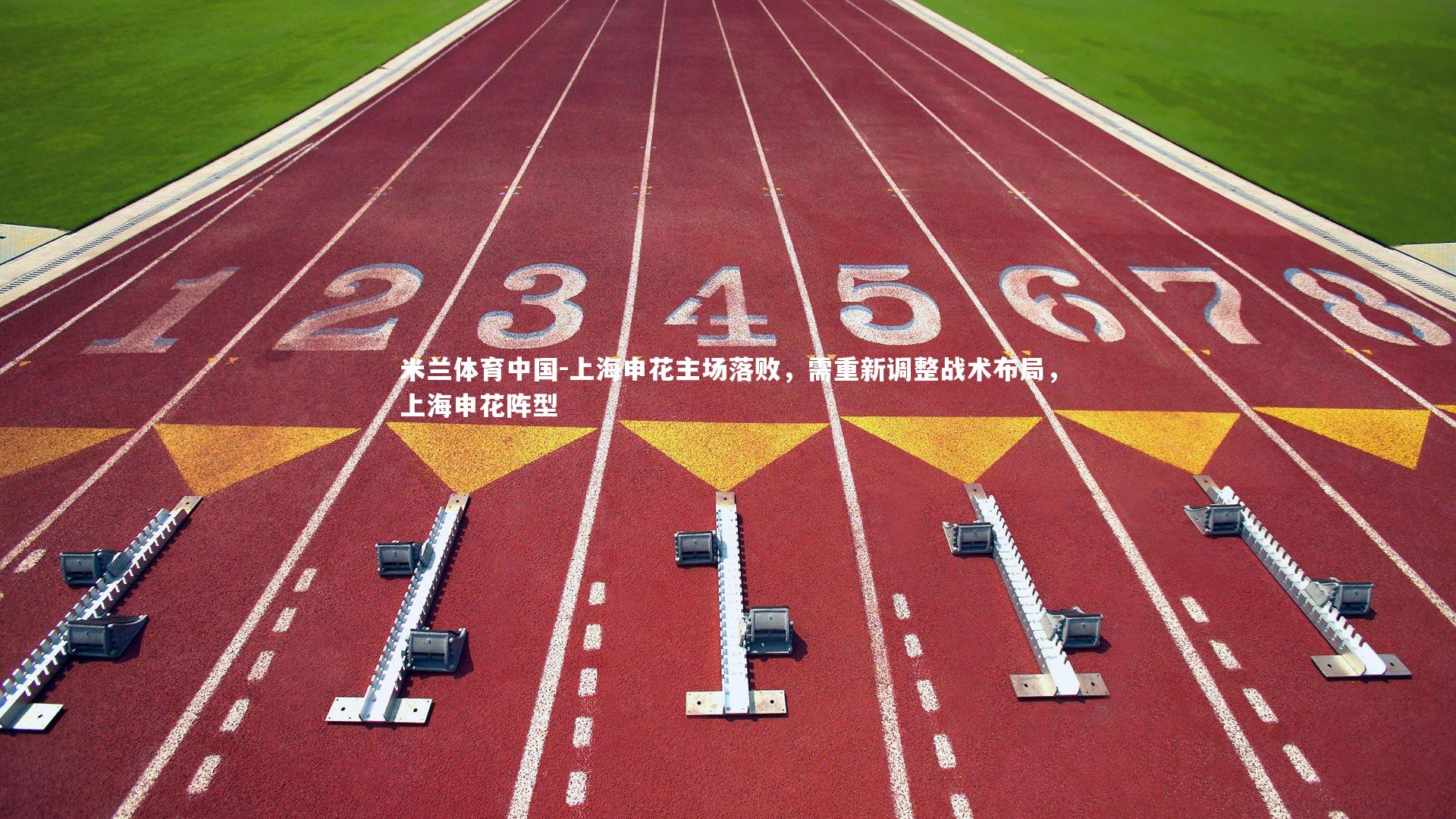 上海申花主场落败，需重新调整战术布局，上海申花阵型