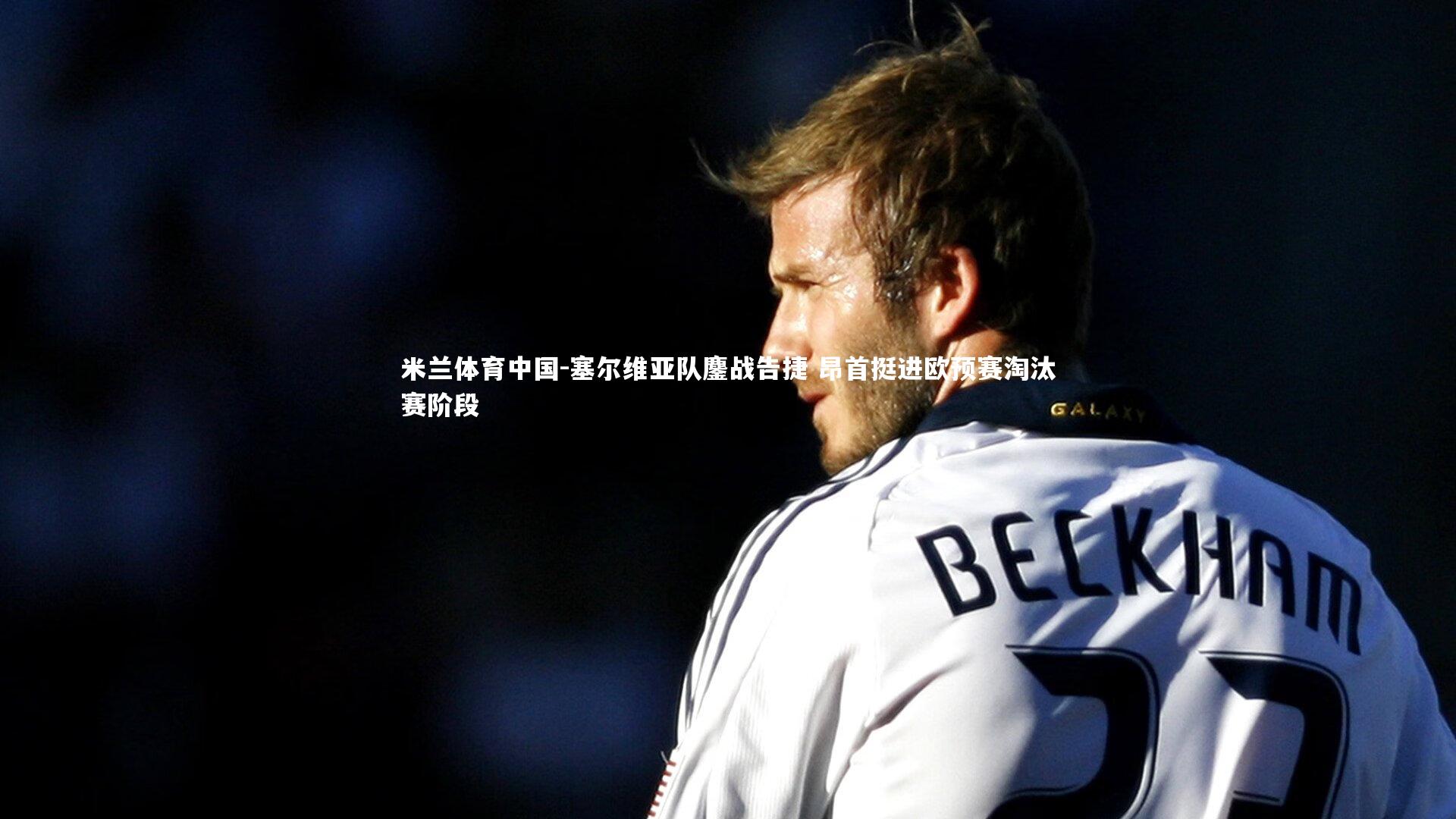 塞尔维亚队鏖战告捷 昂首挺进欧预赛淘汰赛阶段